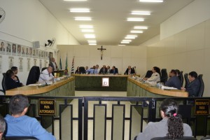 Vereadores em plenário durante a votação da CIP