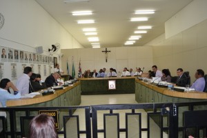 Na Tribuna, vereadora Ana do PV critica pressa na votação de projeto