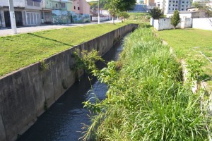 Leia mais sobre o artigo Vereadores sugerem a limpeza do Córrego Itaim