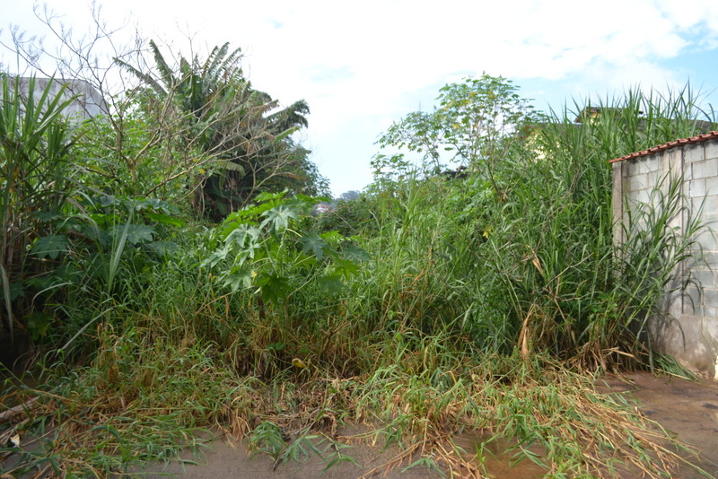 Read more about the article Ratinho propõe a limpeza de córrego que desapareceu em meio ao matagal no centro