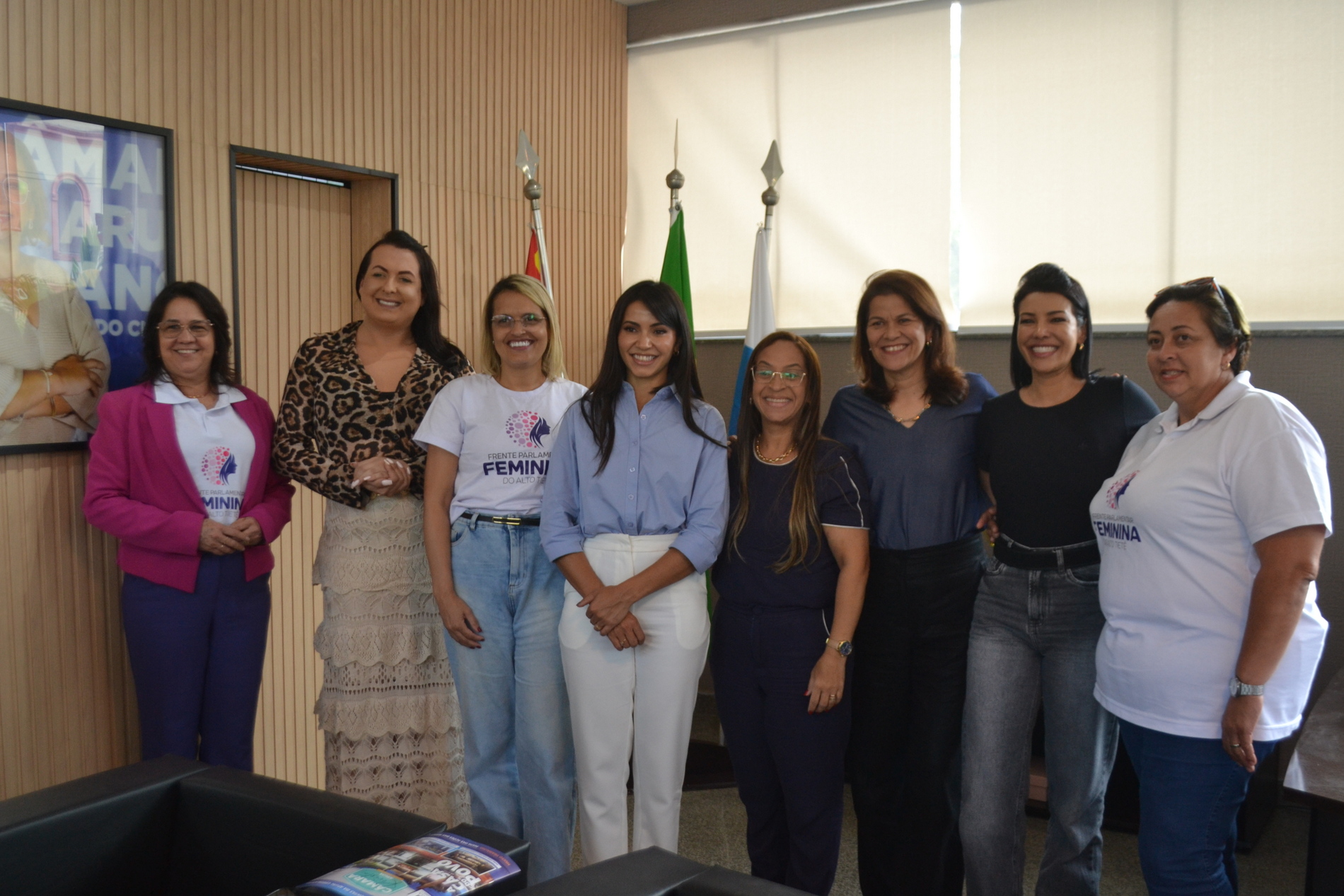 Leia mais sobre o artigo Frente Parlamentar Feminina quer aumentar a representatividade em 2026