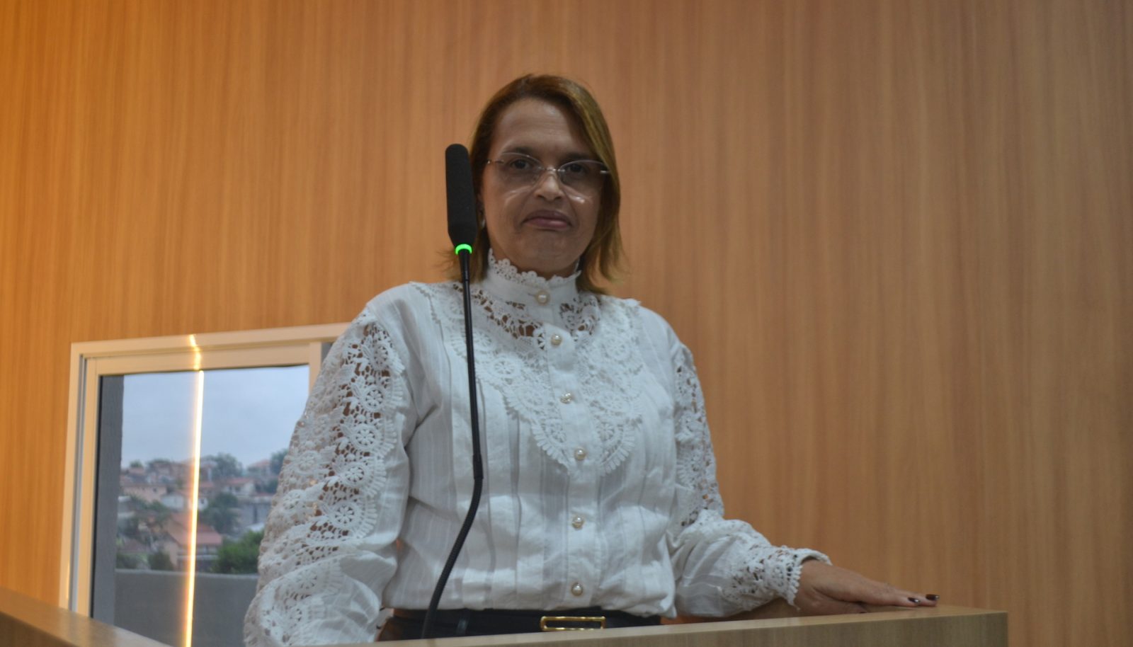 Projeto endurece normas sobre limpeza de terrenos, lotes e imóveis