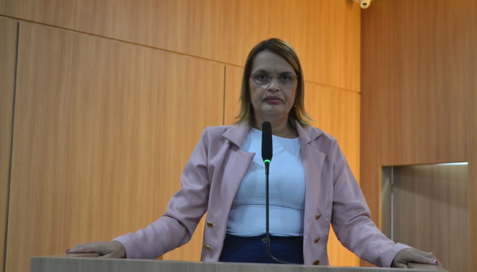 Vereadora Selma sugere a implantação da Coordenadoria Municipal da Inclusão