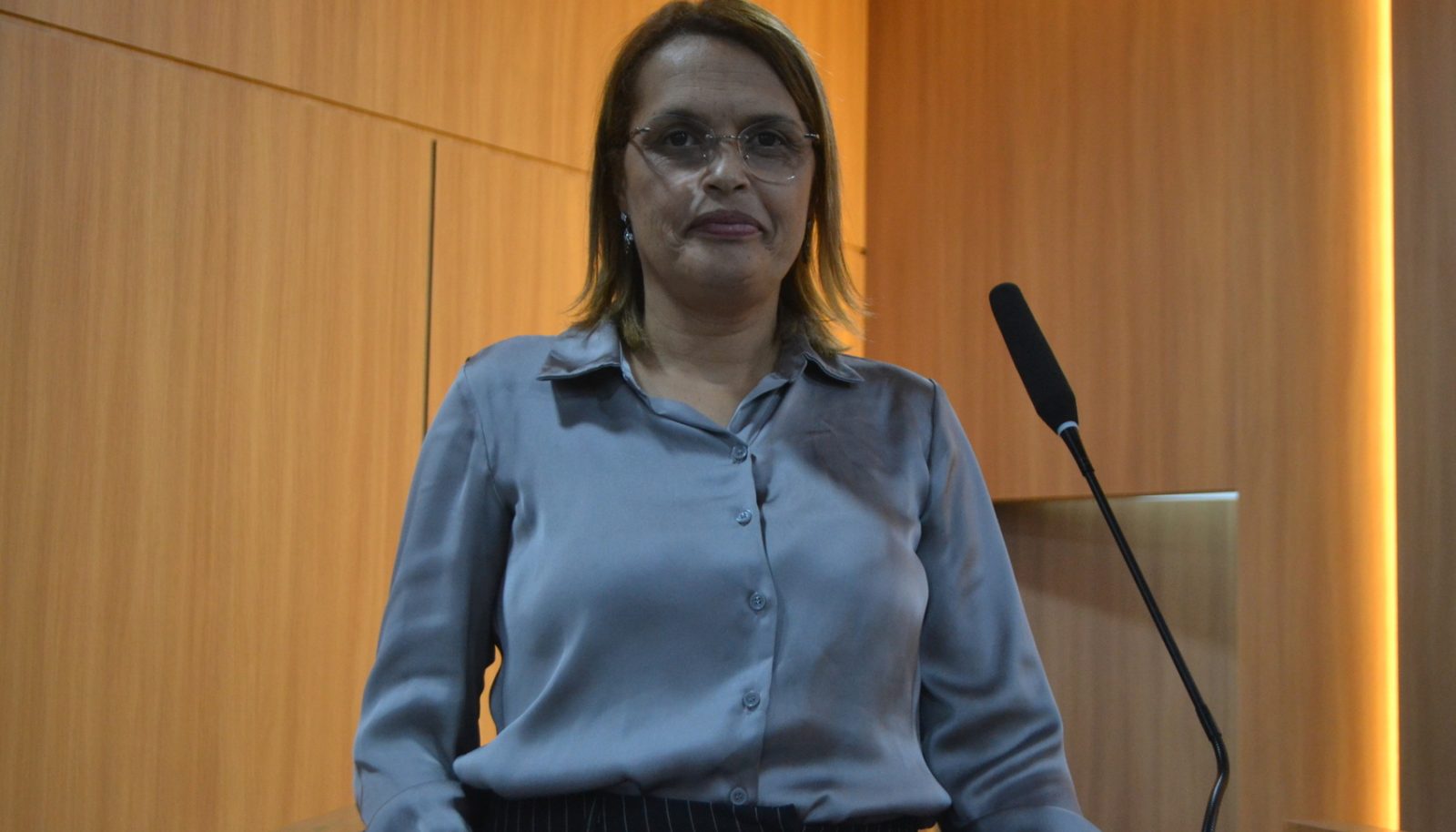 Câmara denomina tribuna com o nome da 1ª vereadora ferrazense