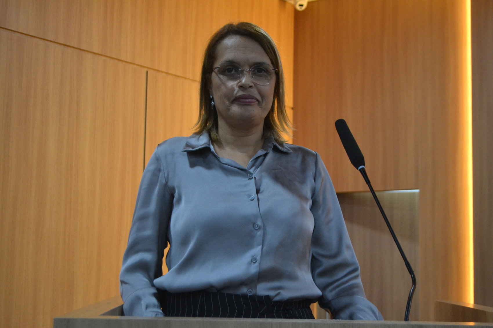 Leia mais sobre o artigo Câmara denomina tribuna com o nome da 1ª vereadora ferrazense